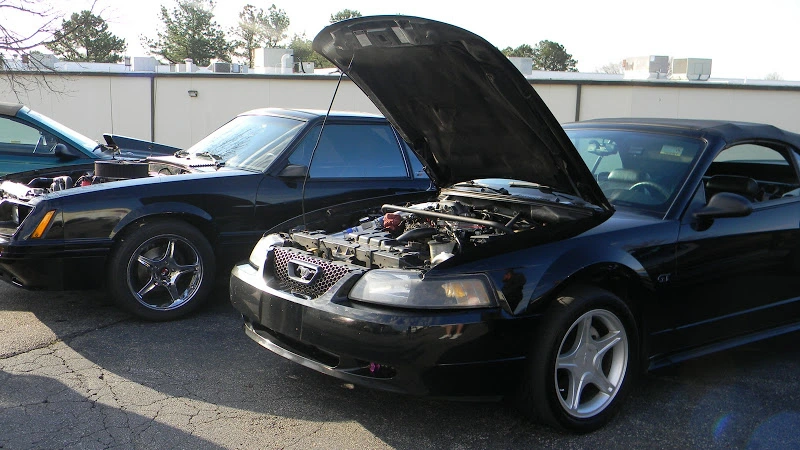 DSCN1421.webp