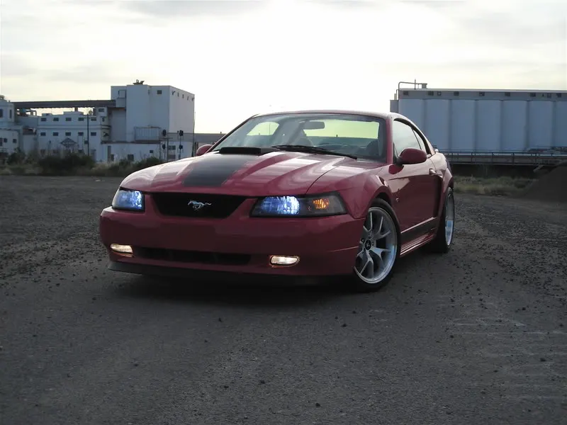 DSCN1429.webp