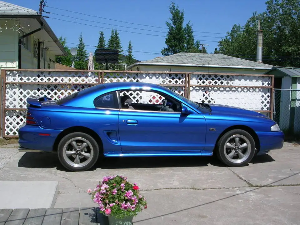 DSCN1429.webp
