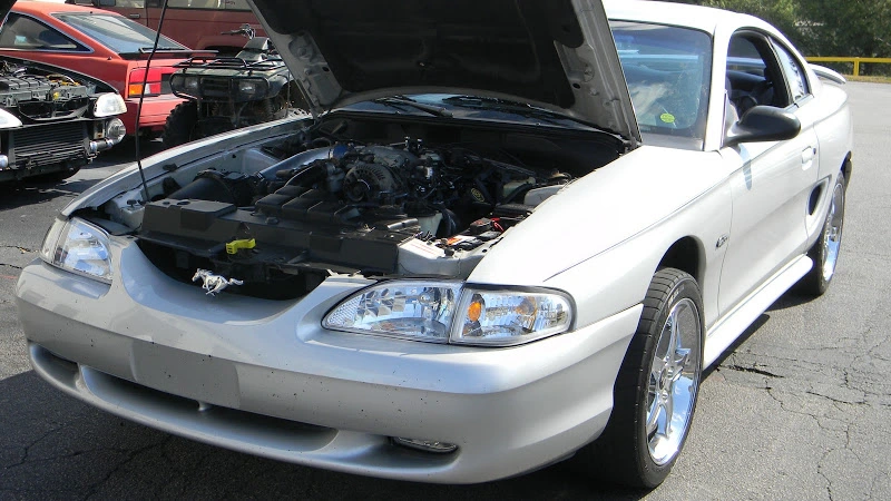 DSCN1438.webp