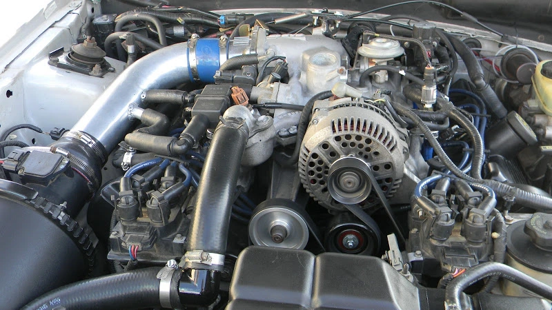 DSCN1439.webp