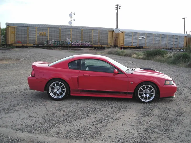 DSCN1439.webp
