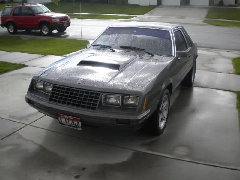 DSCN1441.webp