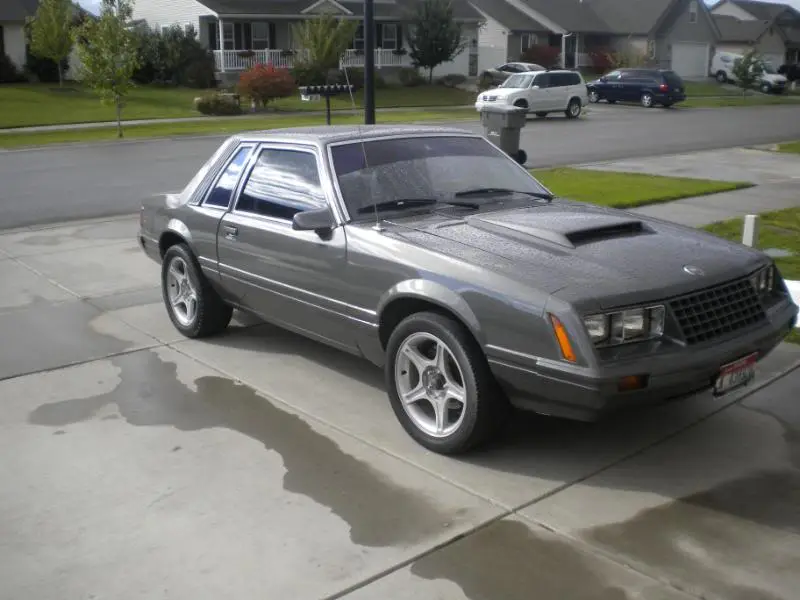 DSCN1442.webp