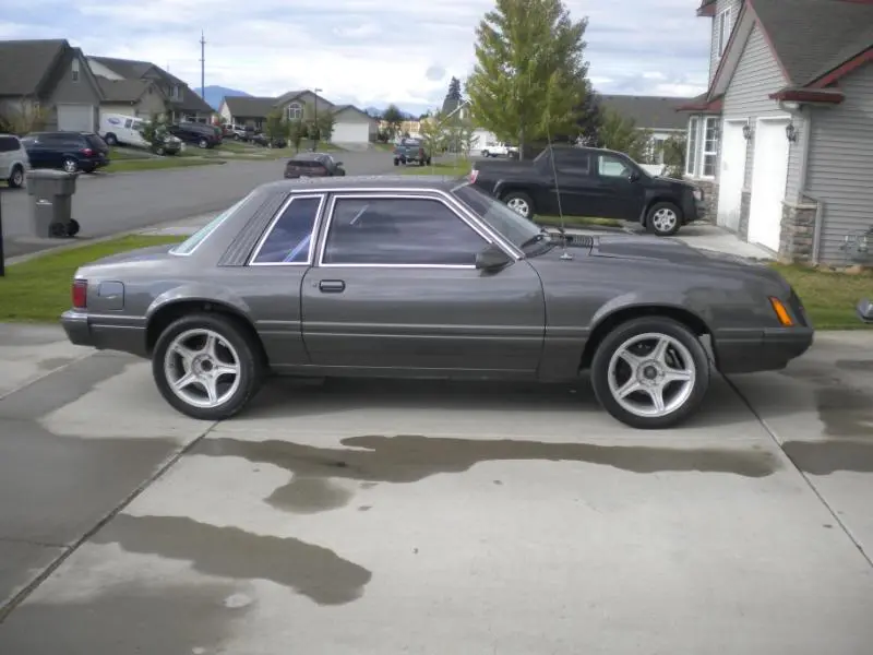 DSCN1443.webp