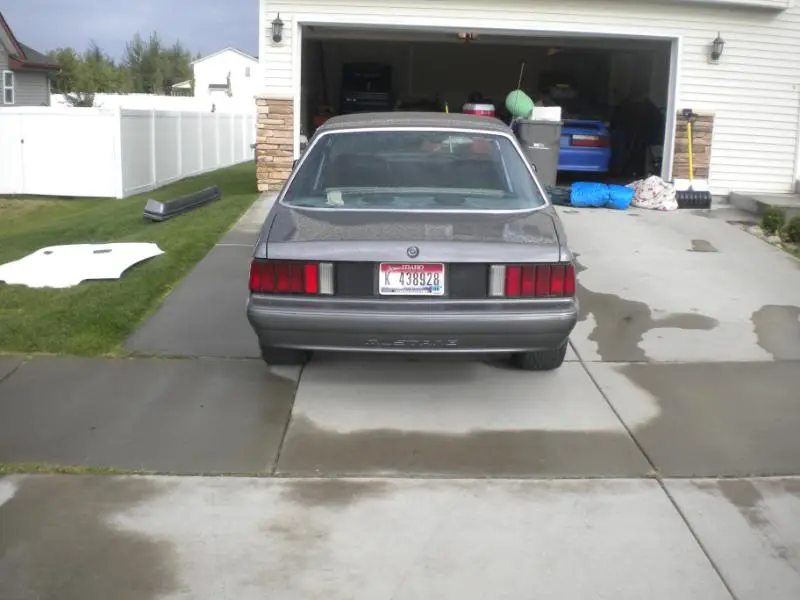 DSCN1444.webp