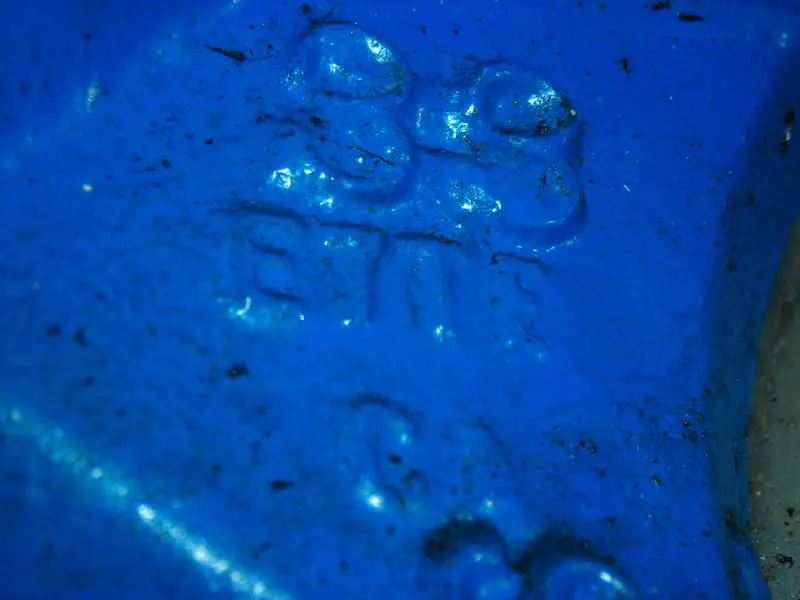 DSCN1457.webp