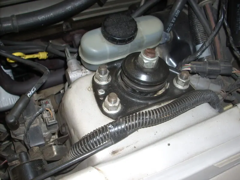 DSCN1458.webp