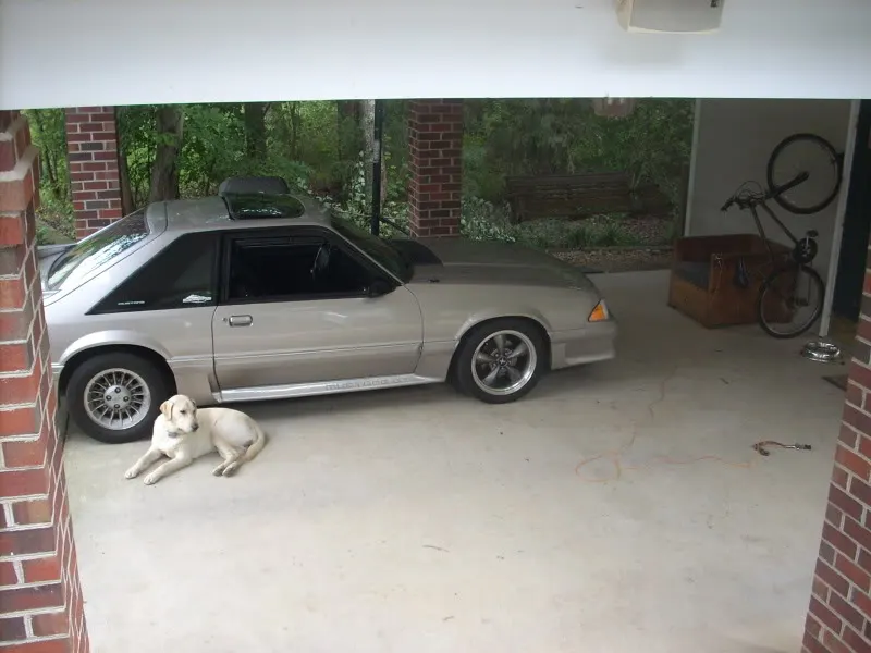 DSCN1462.webp