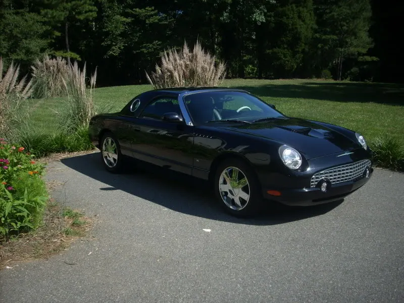 DSCN1503.webp