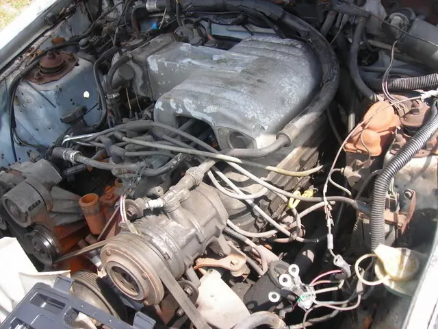DSCN1523.webp