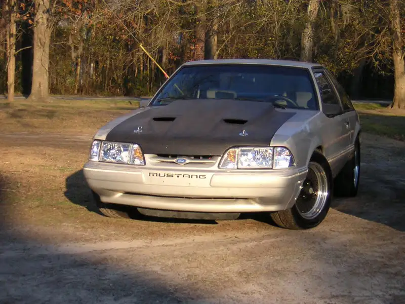 DSCN1524.webp