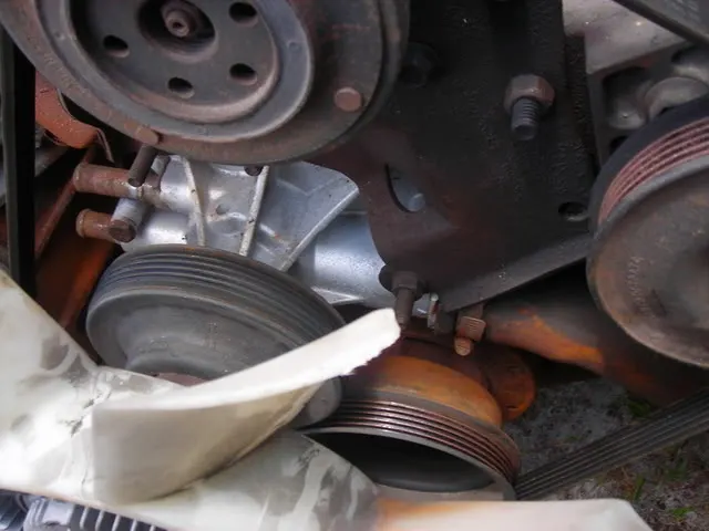 DSCN1525.webp