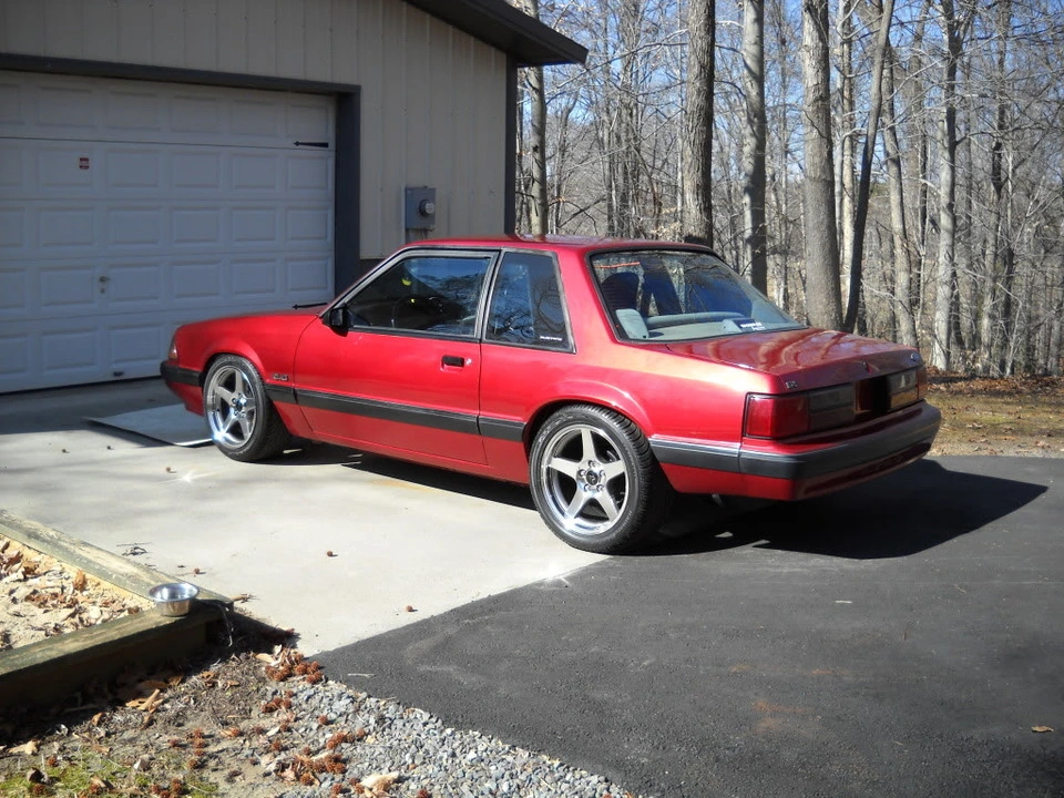 DSCN1552.webp