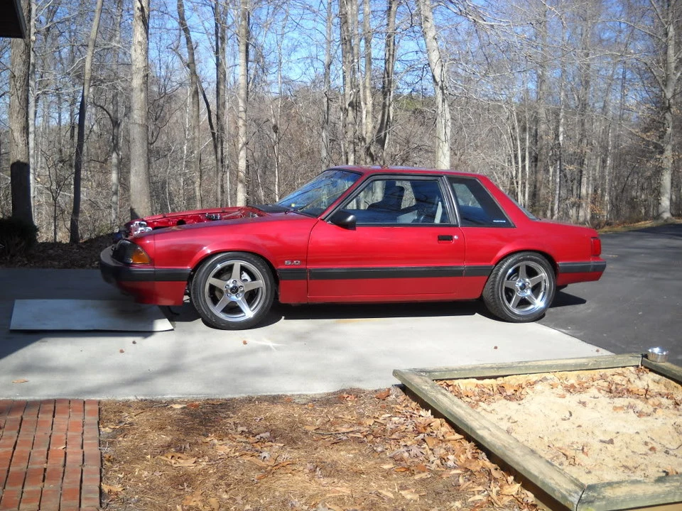 DSCN1554.webp