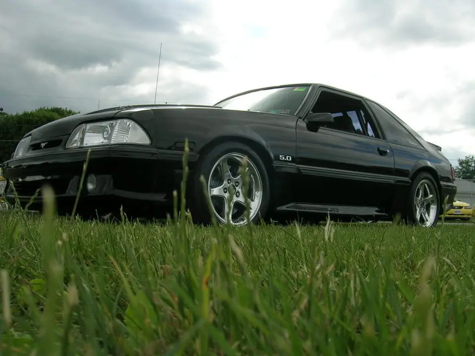 DSCN1554.webp