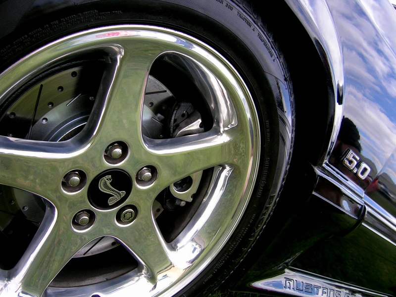 DSCN1555.webp