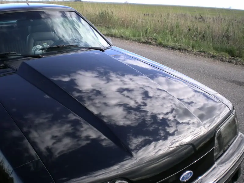 DSCN1560.webp