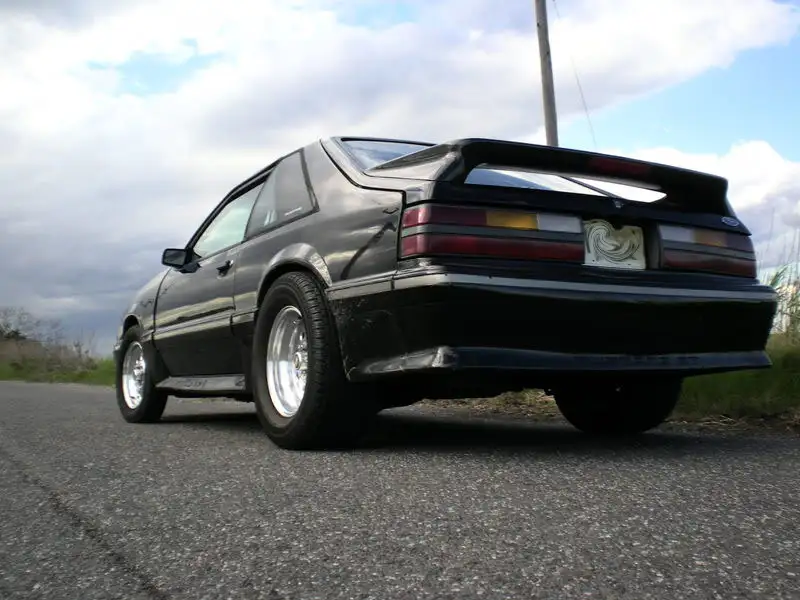DSCN1563.webp