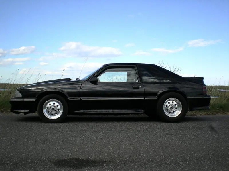 DSCN1564.webp