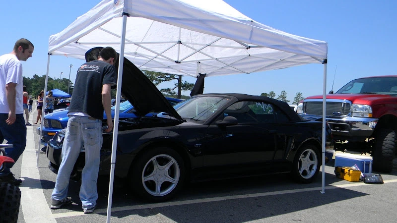DSCN1566.webp