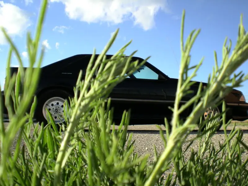 DSCN1582.webp
