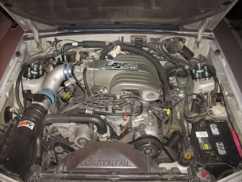 DSCN1587.webp