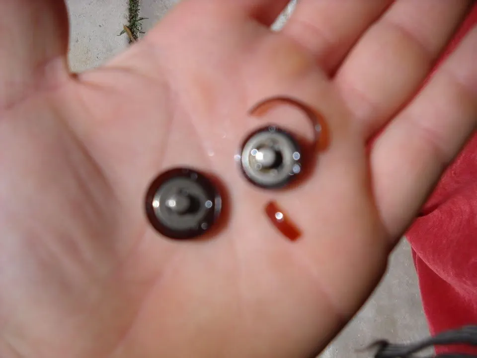 DSCN1622.webp