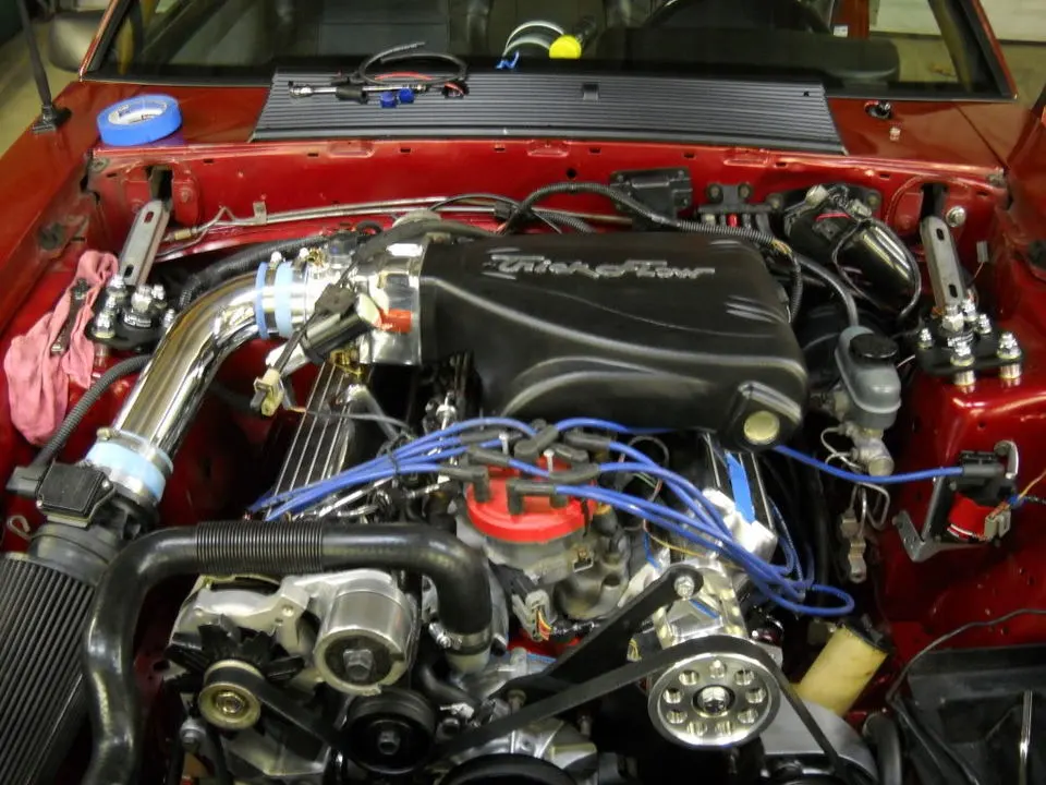 DSCN1654.webp