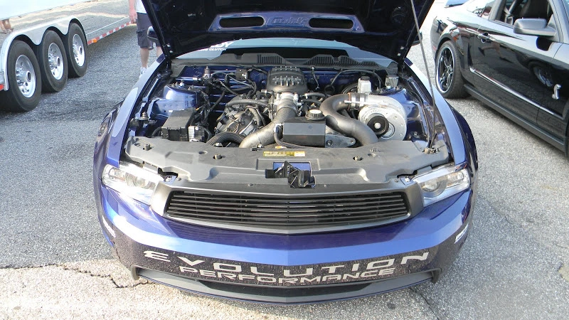 DSCN1694.webp