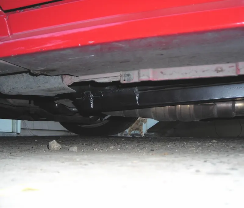 DSCN1698.webp