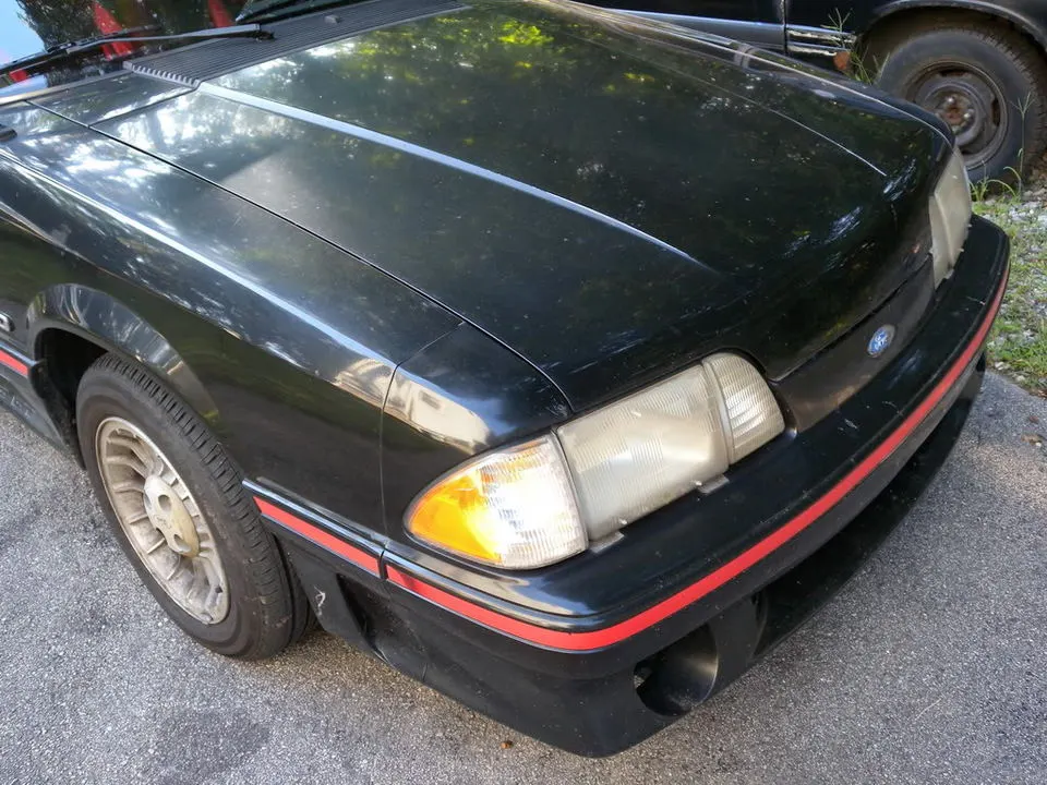 DSCN1699.webp