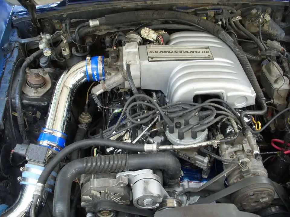 DSCN1702.webp