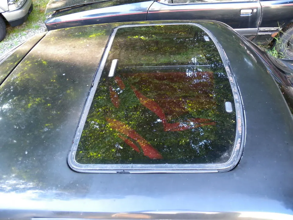 DSCN1712.webp