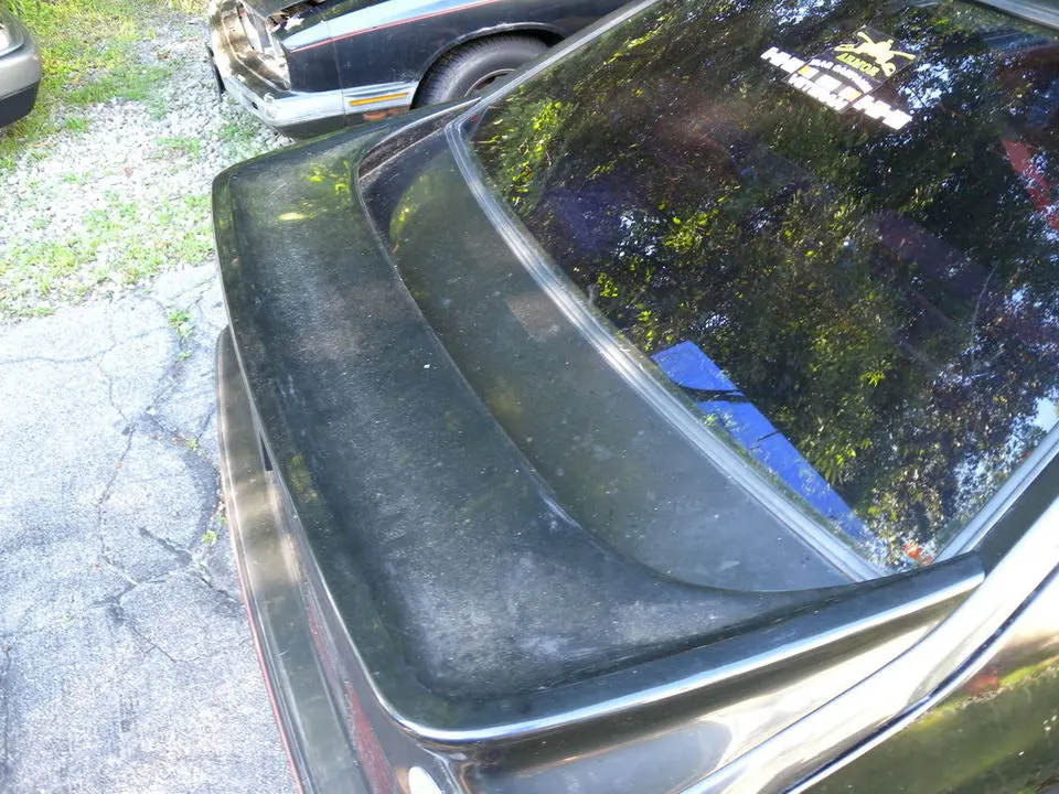 DSCN1715.webp