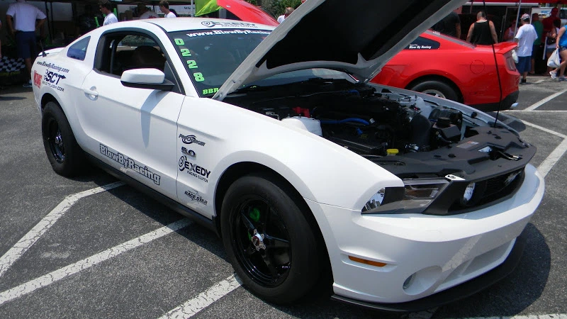 DSCN1718.webp