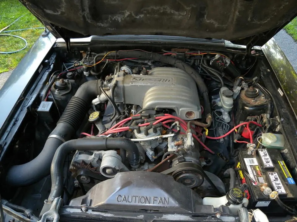 DSCN1726-1.webp