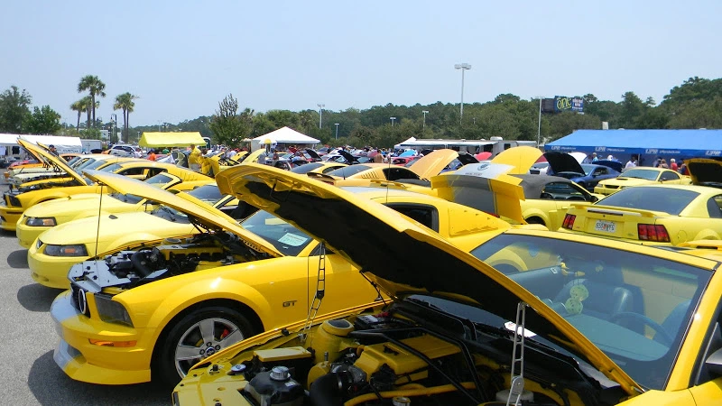 DSCN1731.webp