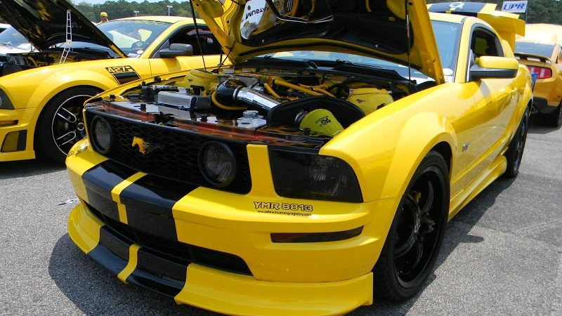 DSCN1733.webp