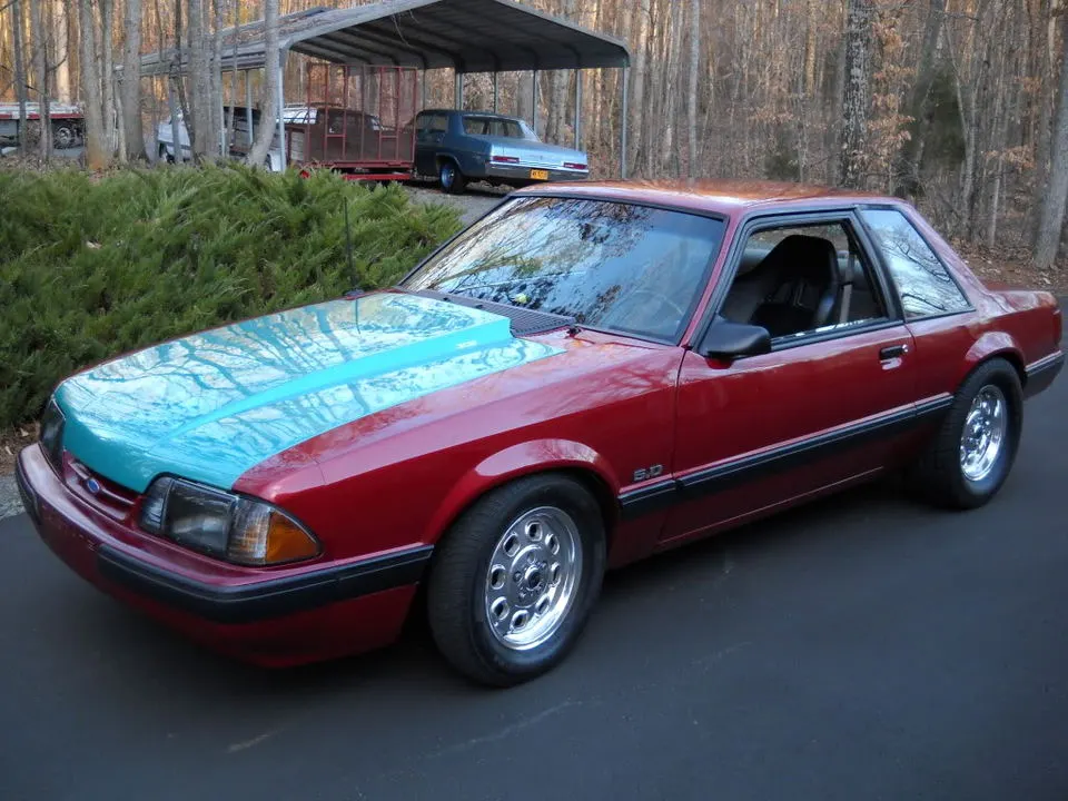 DSCN1734.webp