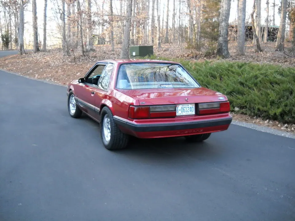 DSCN1736.webp