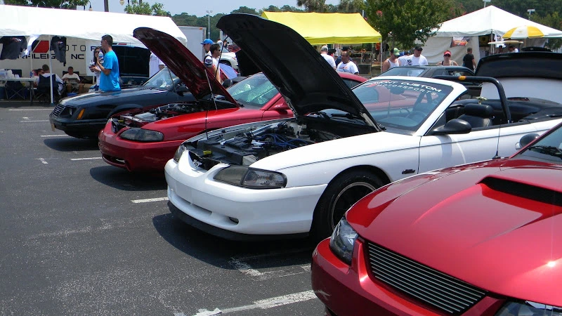 DSCN1737.webp