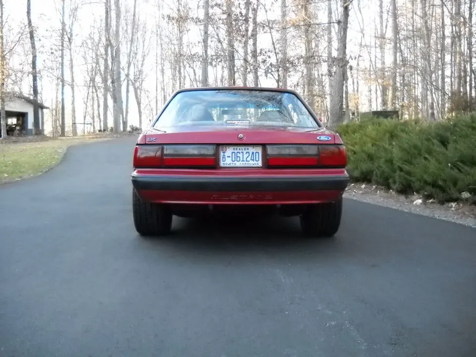 DSCN1737.webp
