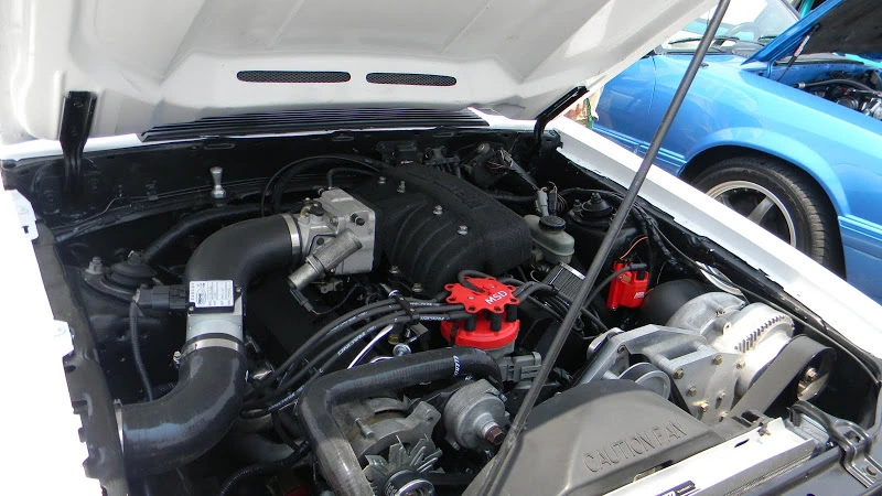 DSCN1741.webp