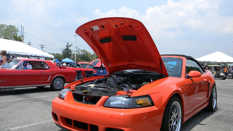DSCN1750.webp