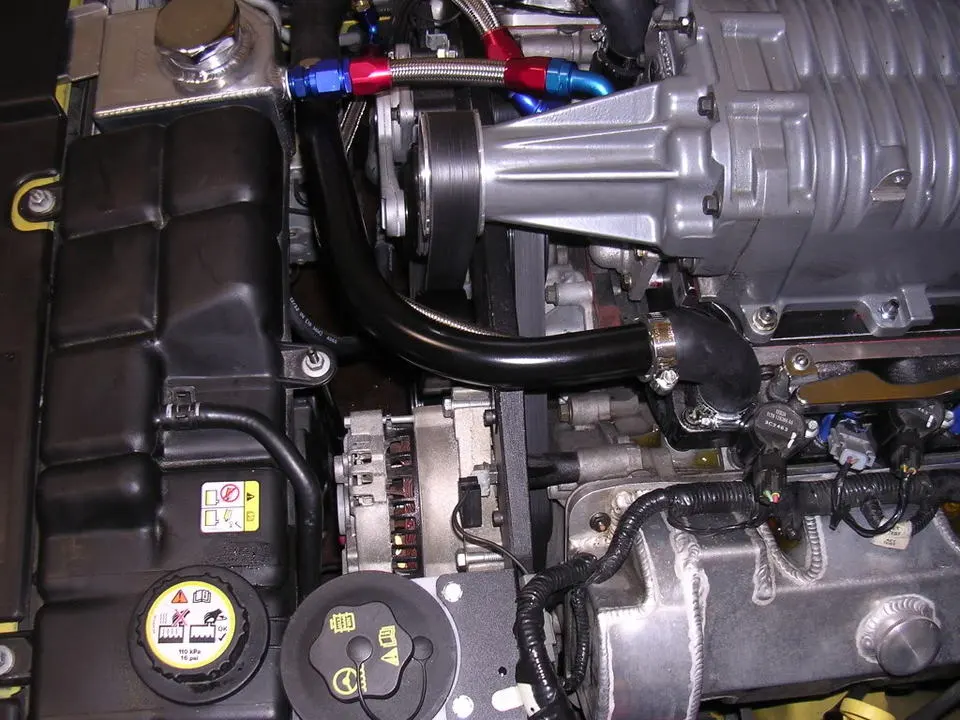 DSCN1770.webp