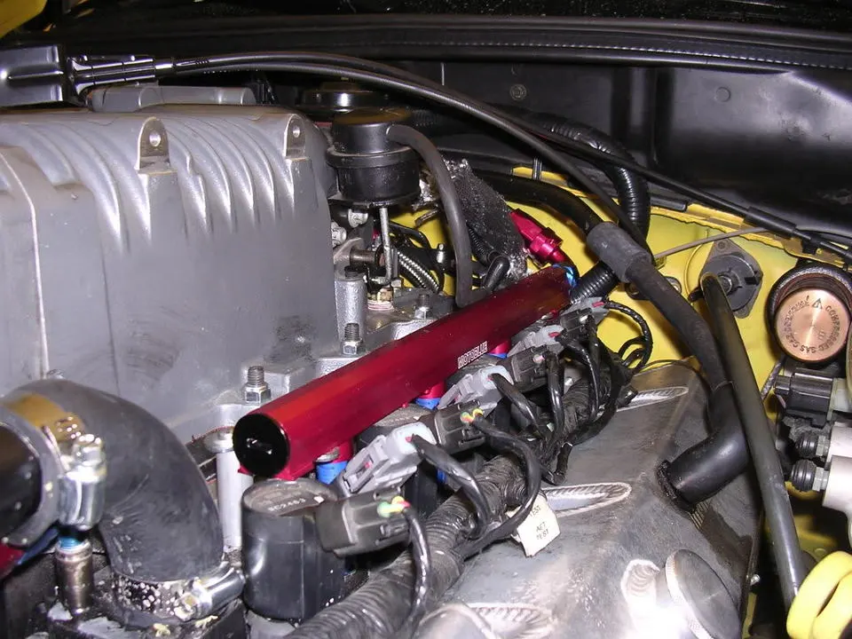 DSCN1775.webp