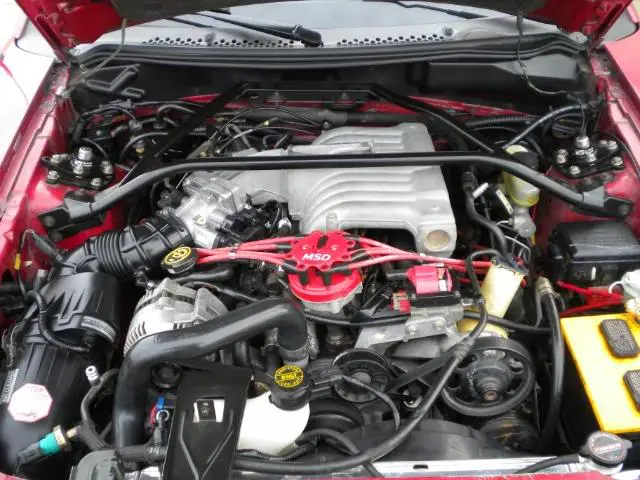 DSCN1798.webp