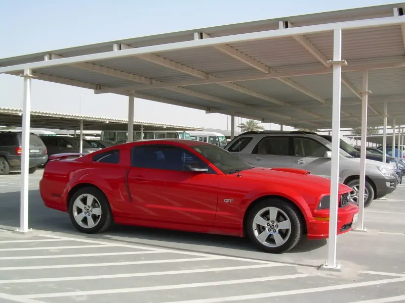 DSCN1817.webp