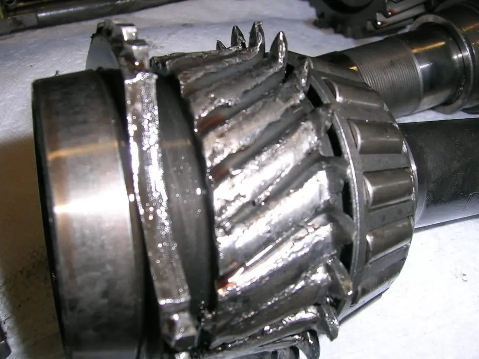 DSCN1817.webp